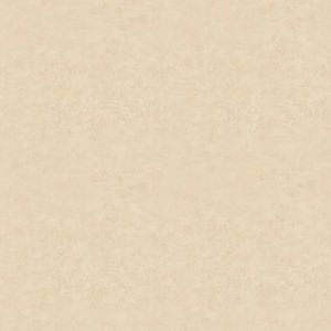 RIMMINI BEIGE 5050 1º CAJA 2.30MT2